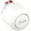 DFS BULBO TERMOSTATICO ATTACCO  D26
