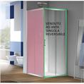 MGS LIVE LATO SCORREVOLE 72/78 TRASP+AGLUX SP.6 H.195