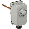 CAL TERMOSTATO IMMERSIONE     622000