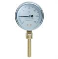 FRR TERMOMETRO VERT.D80 1/120° IMMERSIONE C/POZZETTO CM5