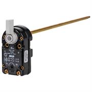 TERMOSTATO TAS 300 RG 691692     691692